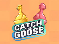 游戏Catch The Goose