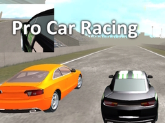 游戏Pro Car Racing