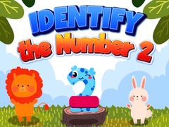 游戏Identify Number 2