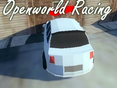 游戏Openworld Racing