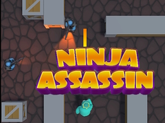 游戏Ninja Assassin