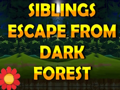 游戏Siblings Escape From Dark Forest