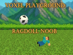 游戏Voxel Playground: Ragdoll Noob