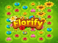 游戏Florify