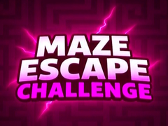 游戏Maze Escape Challenge
