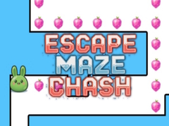 游戏Escape Maze Chush