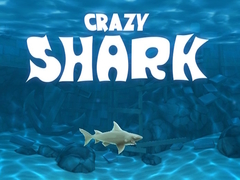 游戏Crazy Shark