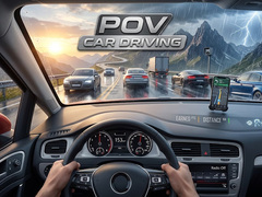 游戏POV Car Driving