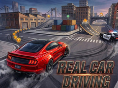 游戏Real Car Driving