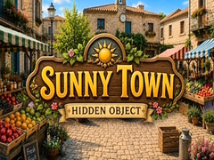 游戏Sunny Town Hidden Object