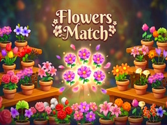 游戏Flowers Match