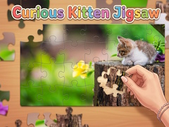游戏Curious Kitten Jigsaw
