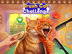 游戏Brush Cat Challenge 