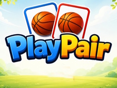 游戏Play Pair