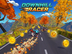 游戏Downhill Racer