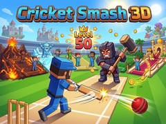 游戏Cricket Smash 3D