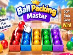 游戏Packing Master Puzzle