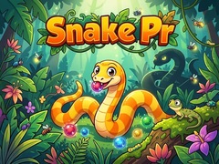 游戏Snake Pr
